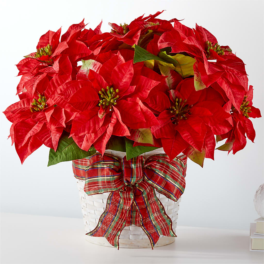 Happiest Holidays Poinsettia – BILLY'S WITTENBERG FLORAL, Wittenberg WI