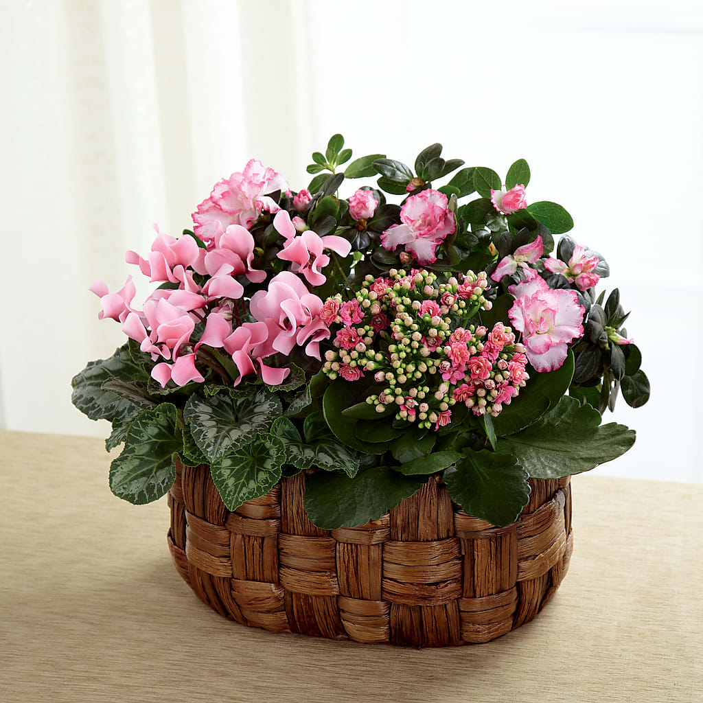 Pink Assortment – BILLY'S WITTENBERG FLORAL, Wittenberg WI