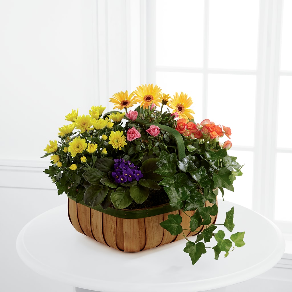 Gentle Blossoms Basket – BILLY'S WITTENBERG FLORAL, Wittenberg WI