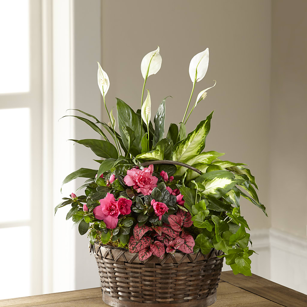 Dream in Pink Dishgarden – BILLY'S WITTENBERG FLORAL, Wittenberg WI