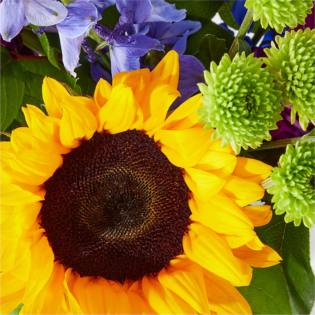 Catching Rays Bouquet – BILLY'S WITTENBERG FLORAL, Wittenberg WI