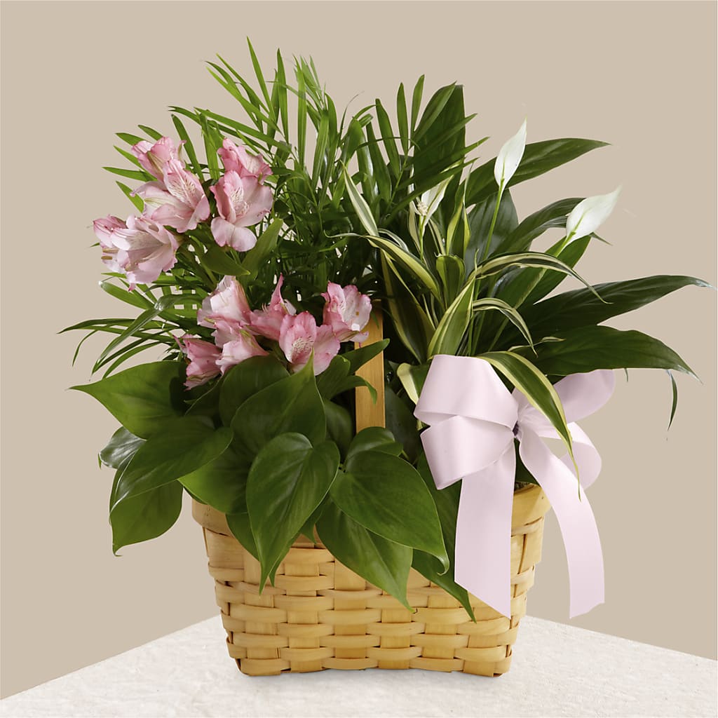 Living Spirit Dishgarden – BILLY'S WITTENBERG FLORAL, Wittenberg WI