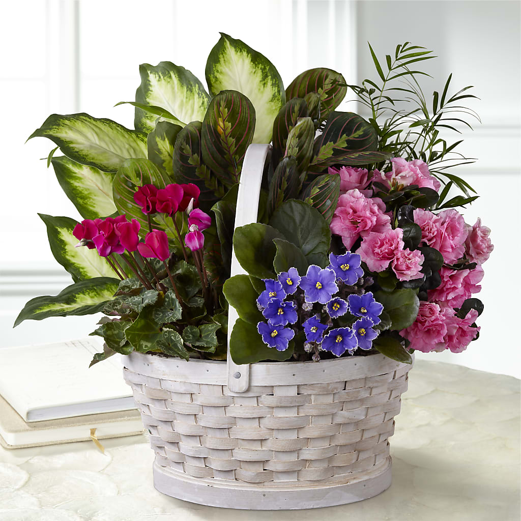 Peaceful Garden Planter – BILLY'S WITTENBERG FLORAL, Wittenberg WI