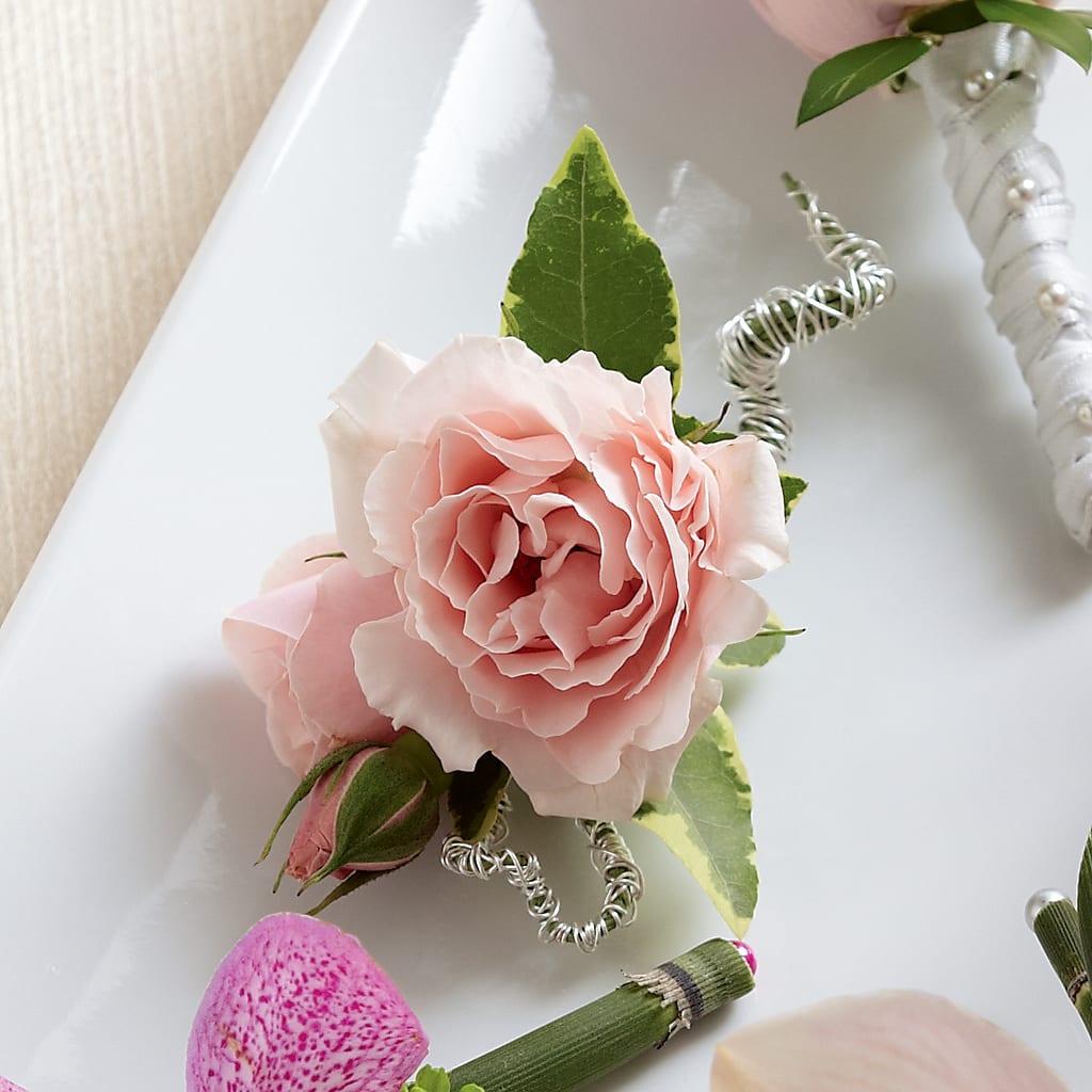 Pink Spray Rose Boutonniere – BILLY'S WITTENBERG FLORAL, Wittenberg WI