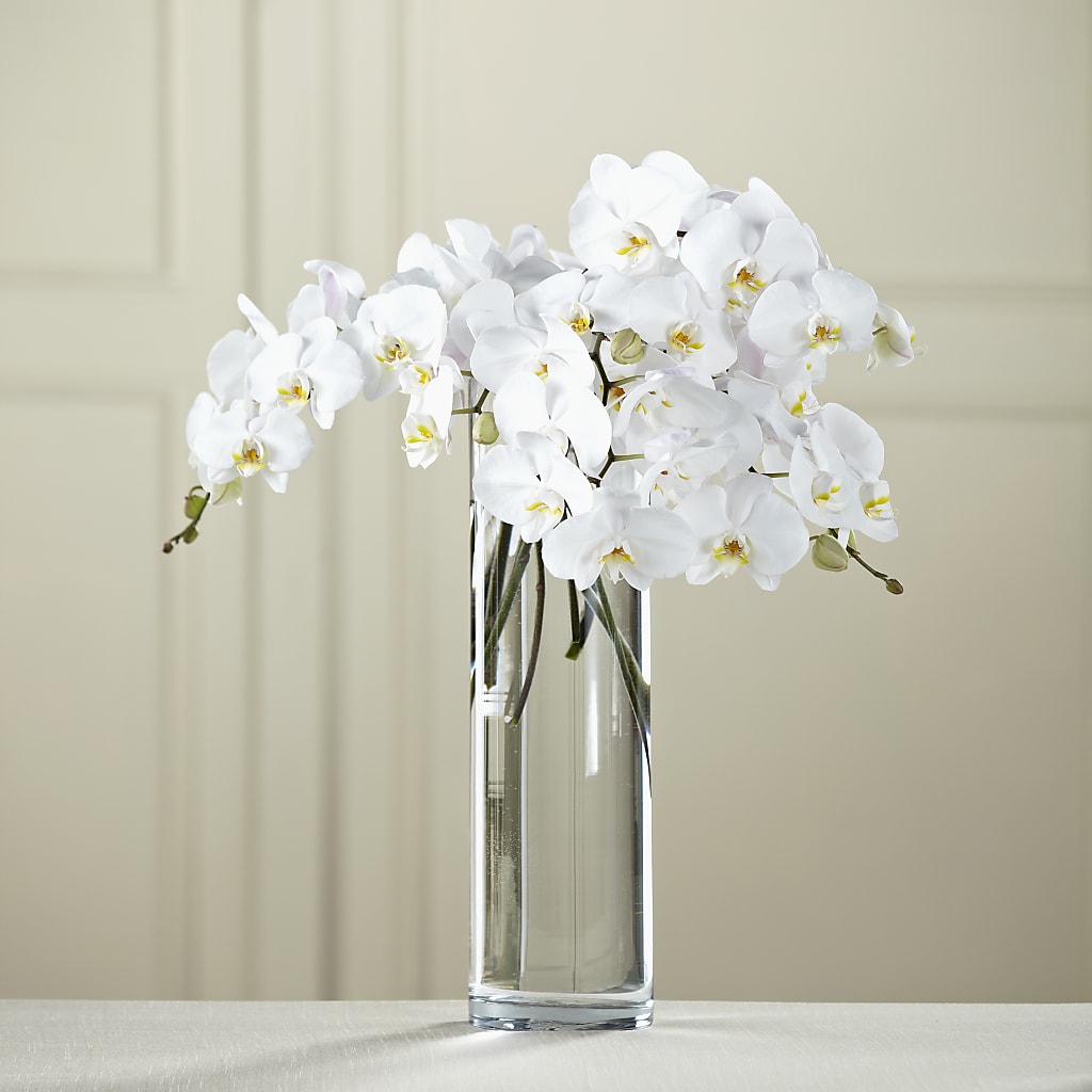 White Phalaenopsis Bouquet – BILLY'S WITTENBERG FLORAL, Wittenberg WI