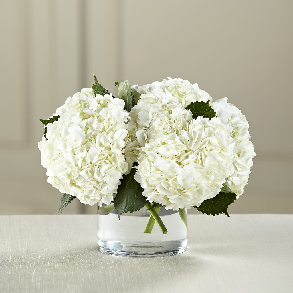 White Hydrangea Bouquet – BILLY'S WITTENBERG FLORAL, Wittenberg WI