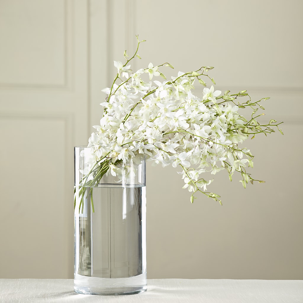 White Dendrobium Bouquet – BILLY'S WITTENBERG FLORAL, Wittenberg WI