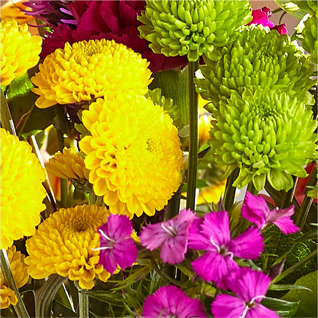 Bold & Bright – A Florist Original – BILLY'S WITTENBERG FLORAL, Wittenberg WI