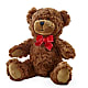 Adorable Plush Bear – BILLY'S WITTENBERG FLORAL, Wittenberg WI