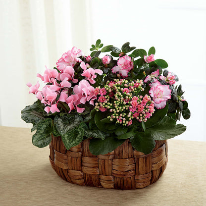 Pink Assortment – BILLY'S WITTENBERG FLORAL, Wittenberg WI