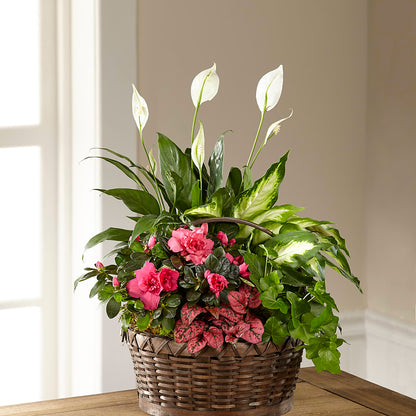 Dream in Pink Dishgarden – BILLY'S WITTENBERG FLORAL, Wittenberg WI