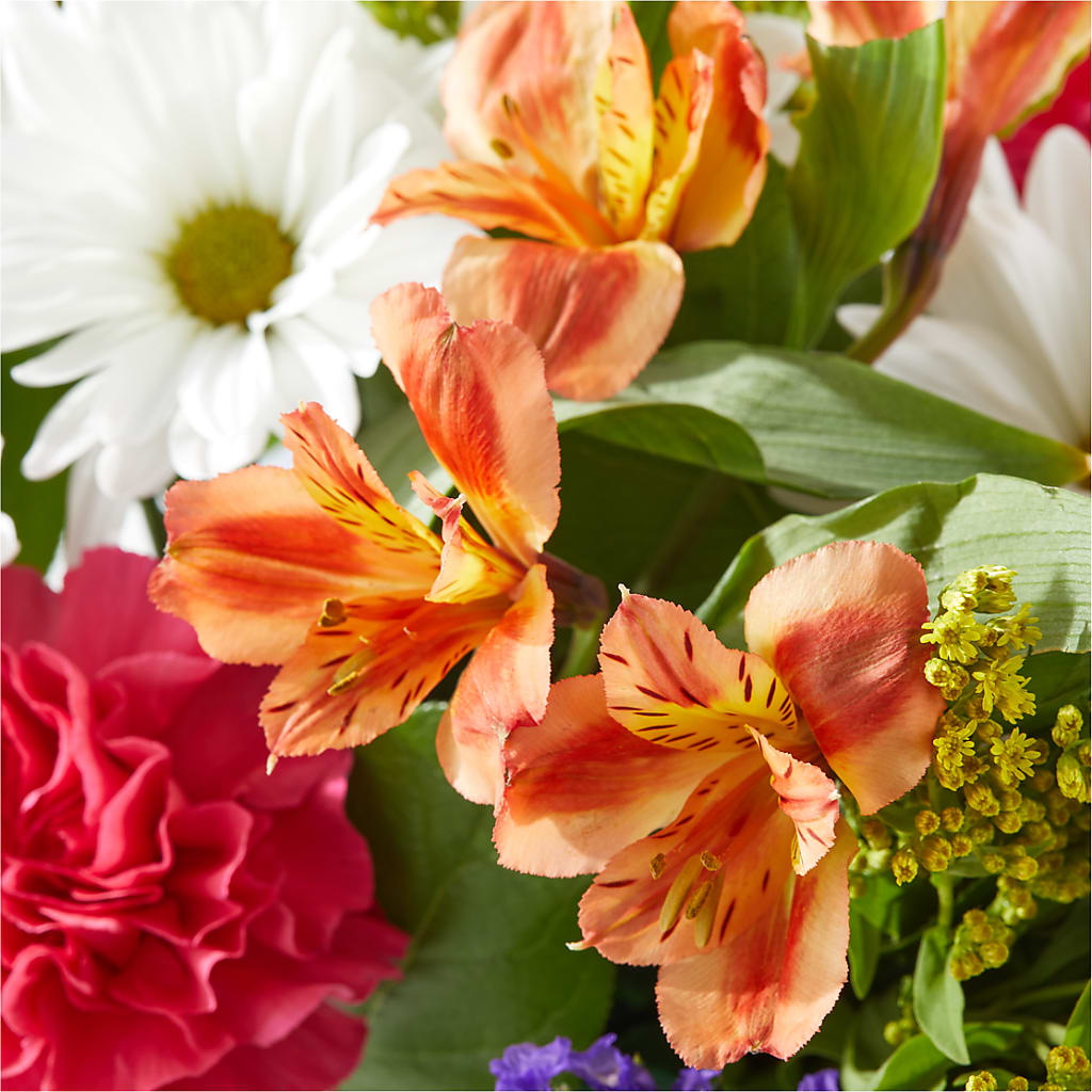 Oopsie Daisy Box Bouquet – BILLY'S WITTENBERG FLORAL, Wittenberg WI