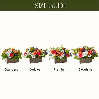 Oopsie Daisy Box Bouquet – BILLY'S WITTENBERG FLORAL, Wittenberg WI