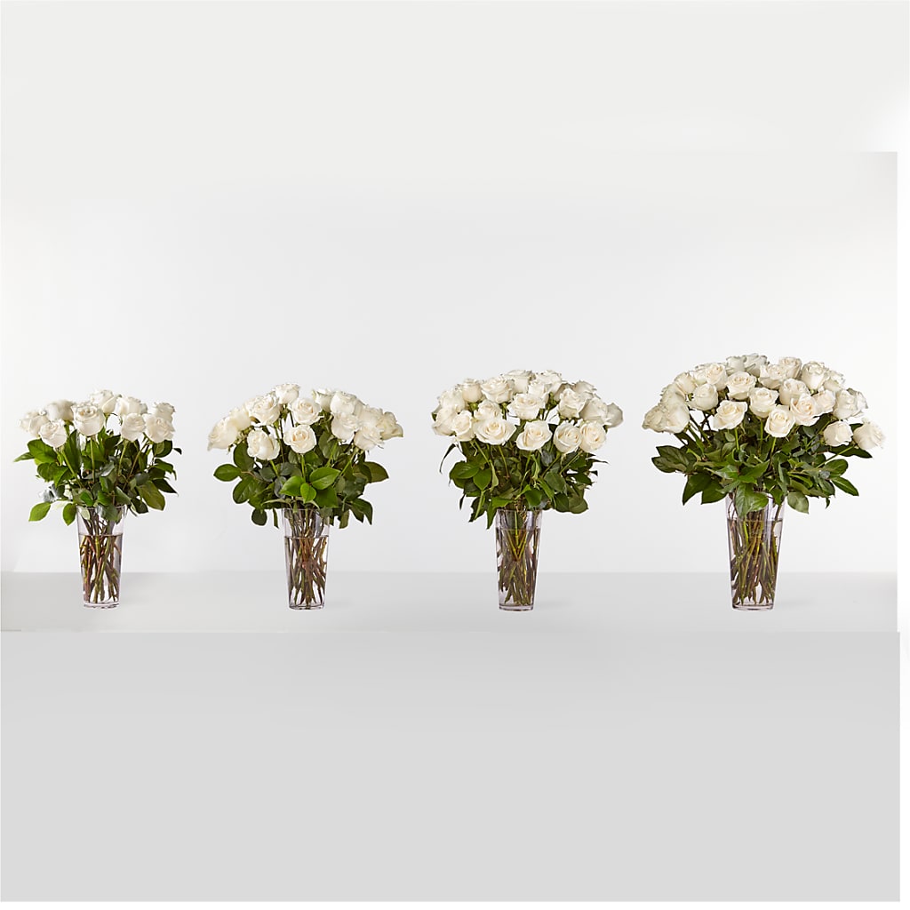 Long Stem White Rose Bouquet – BILLY'S WITTENBERG FLORAL, Wittenberg WI