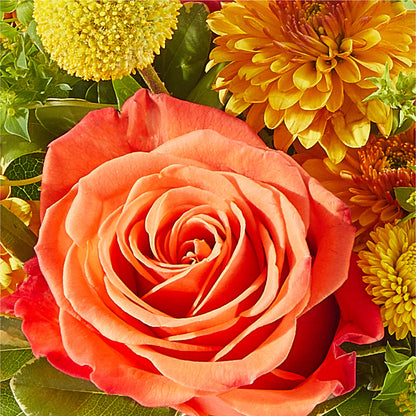 Gourdgeous Pumpkin – BILLY'S WITTENBERG FLORAL, Wittenberg WI