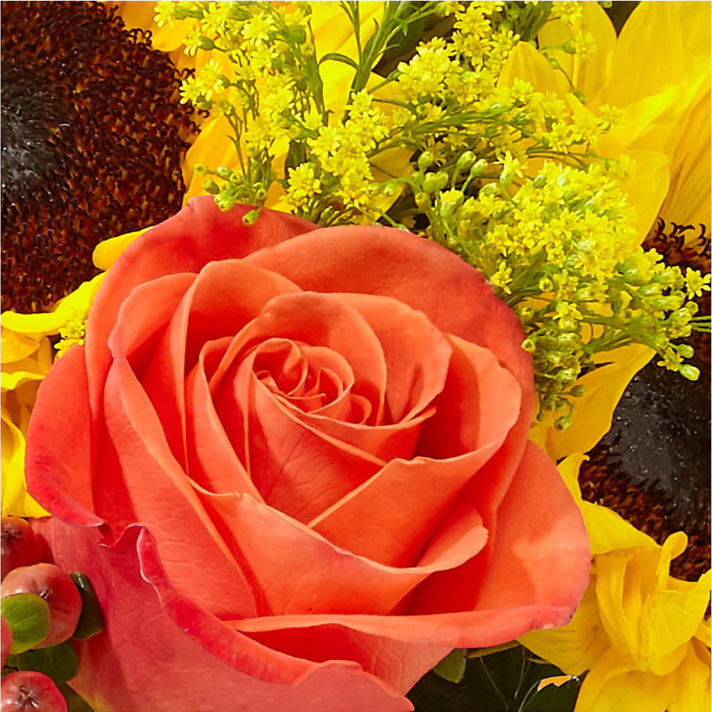 Pick of the Patch Pumpkin Bouquet – BILLY'S WITTENBERG FLORAL, Wittenberg WI
