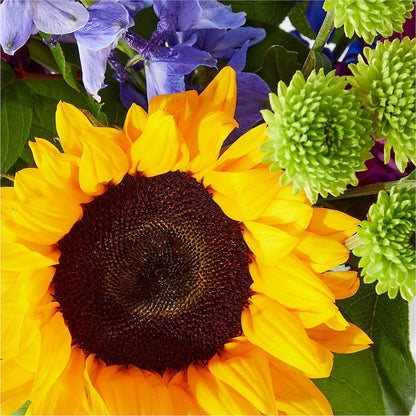 Catching Rays Bouquet – BILLY'S WITTENBERG FLORAL, Wittenberg WI