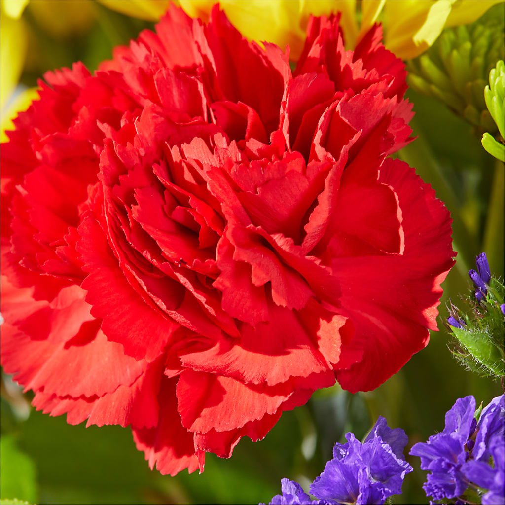Brighter Days Bouquet – BILLY'S WITTENBERG FLORAL, Wittenberg WI