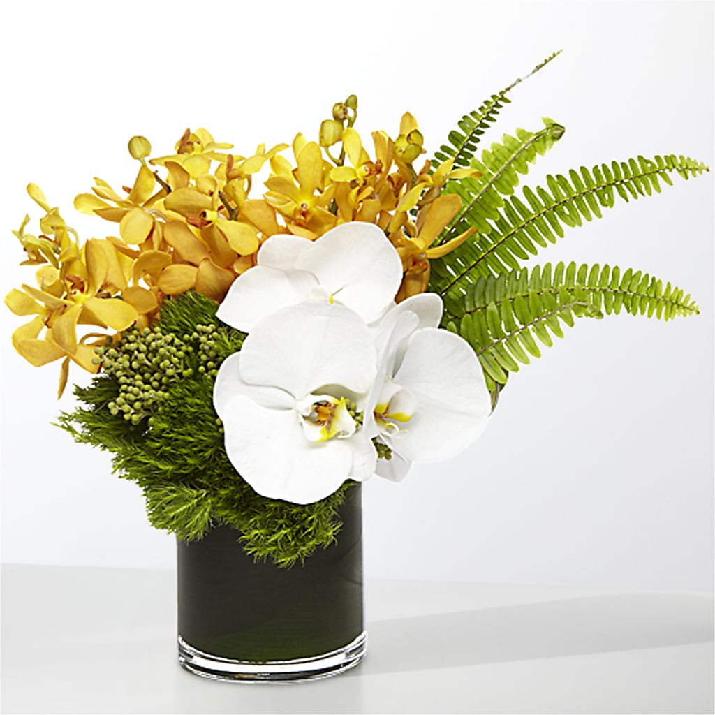 The Tropics – BILLY'S WITTENBERG FLORAL, Wittenberg WI