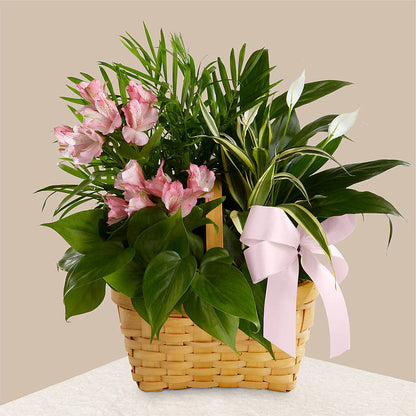 Living Spirit Dishgarden – BILLY'S WITTENBERG FLORAL, Wittenberg WI