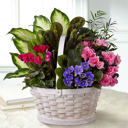 Peaceful Garden Planter – BILLY'S WITTENBERG FLORAL, Wittenberg WI