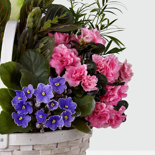 Peaceful Garden Planter – BILLY'S WITTENBERG FLORAL, Wittenberg WI