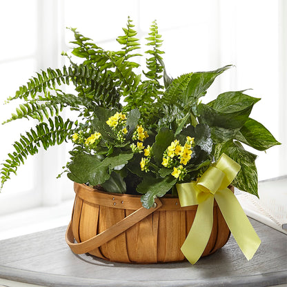 Always Dear Dishgarden – BILLY'S WITTENBERG FLORAL, Wittenberg WI