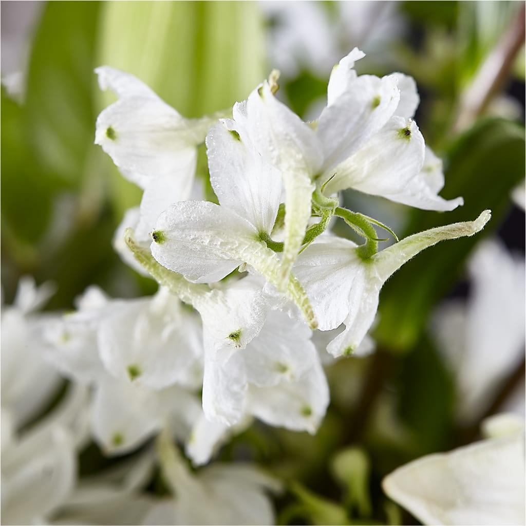 Classic Ivory – A Florist Original – BILLY'S WITTENBERG FLORAL, Wittenberg WI