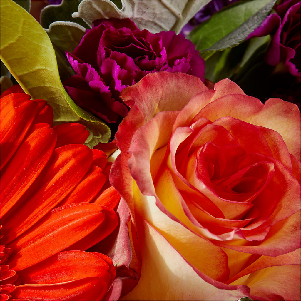 Sangria Bouquet – BILLY'S WITTENBERG FLORAL, Wittenberg WI