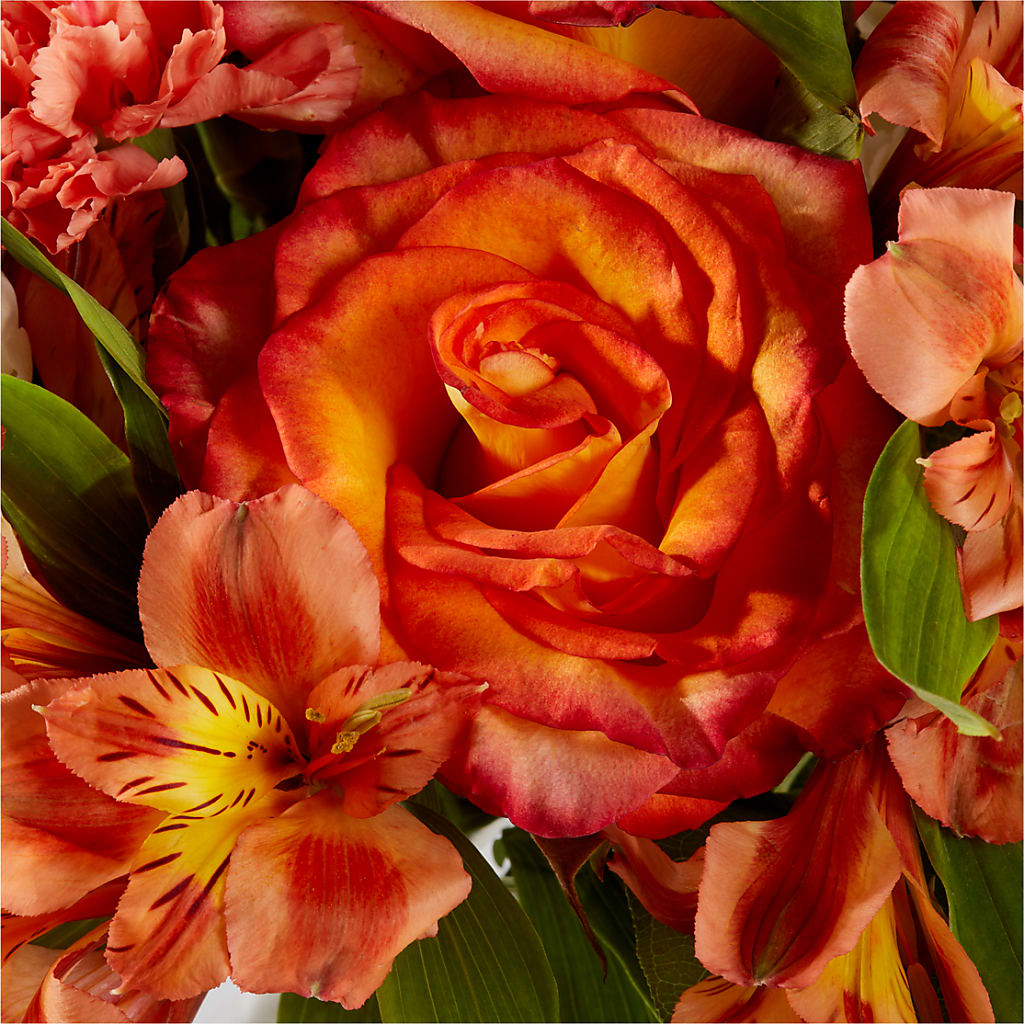 Apricot Glow Bouquet – BILLY'S WITTENBERG FLORAL, Wittenberg WI