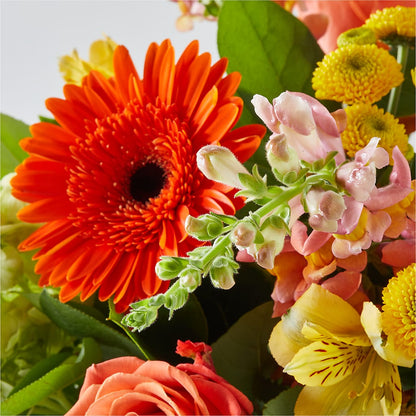Autumn Sunshine Bouquet – BILLY'S WITTENBERG FLORAL, Wittenberg WI