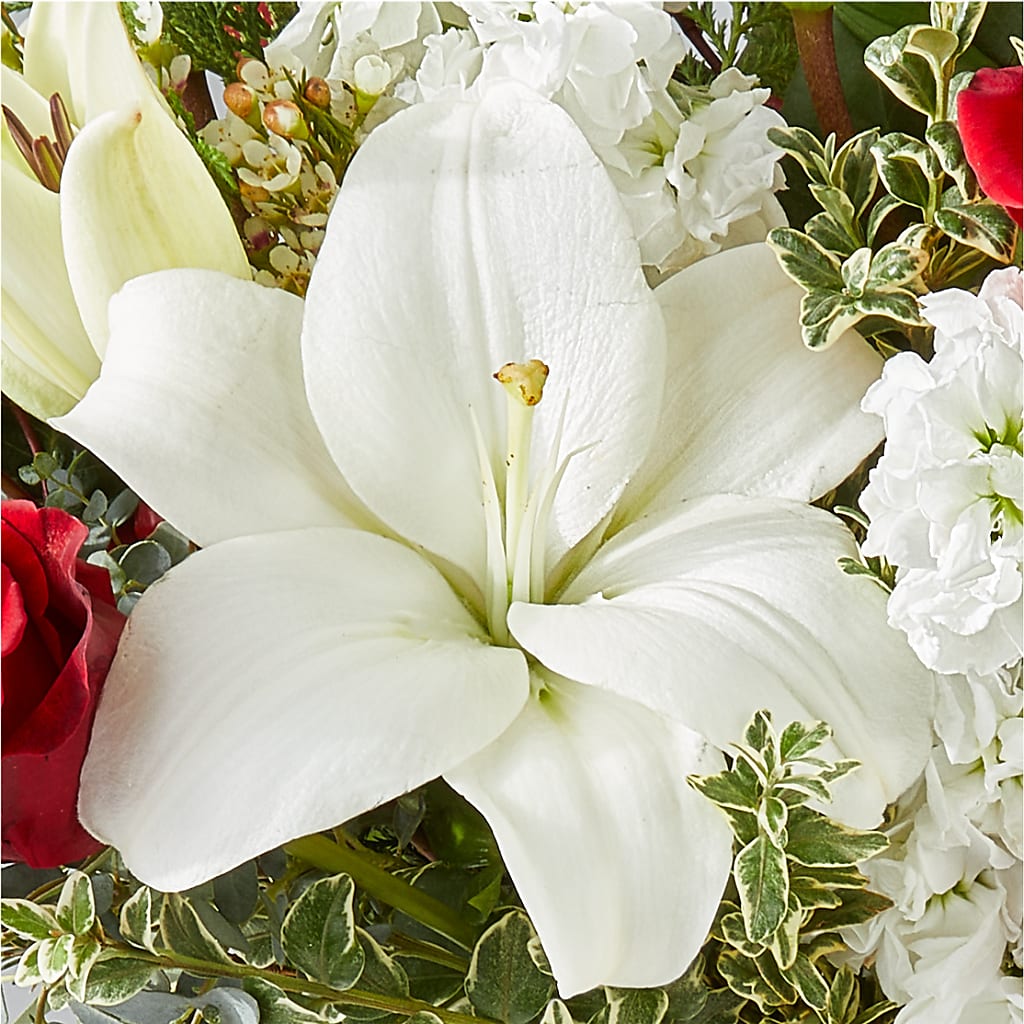 Twinkle Lights Bouquet – BILLY'S WITTENBERG FLORAL, Wittenberg WI