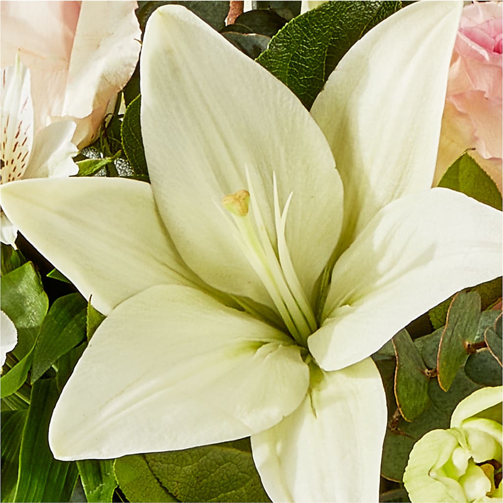 Ballet Slippers Bouquet – BILLY'S WITTENBERG FLORAL, Wittenberg WI