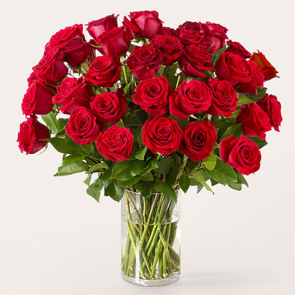 The One Red Rose Bouquet – BILLY'S WITTENBERG FLORAL, Wittenberg WI