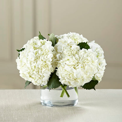 White Hydrangea Bouquet – BILLY'S WITTENBERG FLORAL, Wittenberg WI